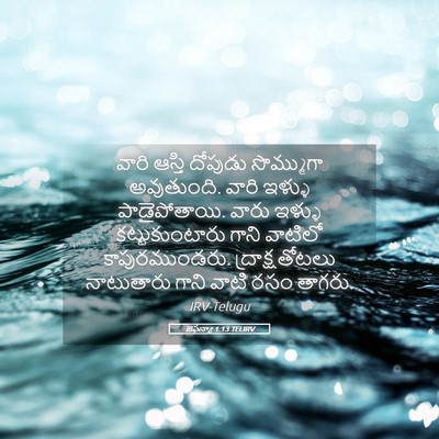 Picture 05 - జెఫన్యా 1:13 TELIRV - వారి ఆస్తి దోపుడు - Bible Verse Picture