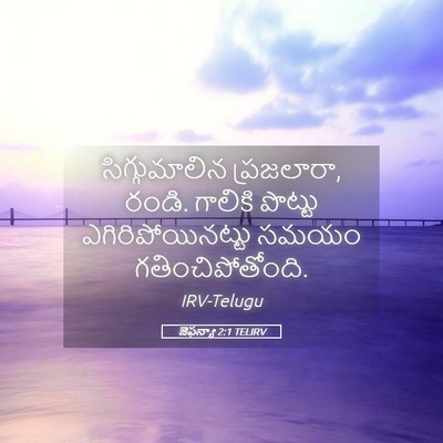 Picture 05 - జెఫన్యా 2:1 TELIRV - సిగ్గుమాలిన - Bible Verse Picture
