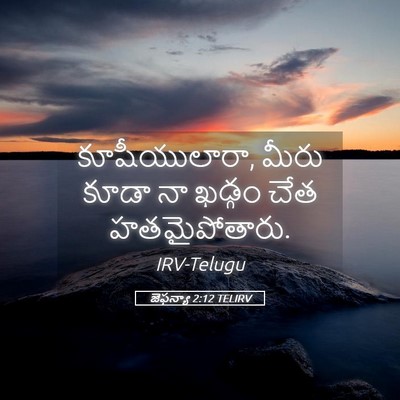Picture 05 - జెఫన్యా 2:12 TELIRV - కూషీయులారా, మీరు - Bible Verse Picture
