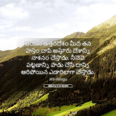 Picture 05 - జెఫన్యా 2:13 TELIRV - ఆయన ఉత్తరదేశం మీద - Bible Verse Picture