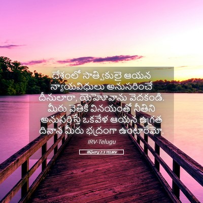 Picture 05 - జెఫన్యా 2:3 TELIRV - దేశంలో సాత్వికులై - Bible Verse Picture