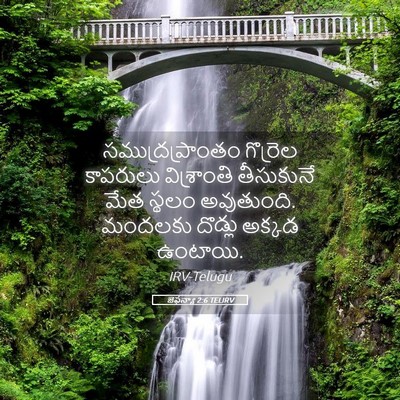 Picture 05 - జెఫన్యా 2:6 TELIRV - సముద్రప్రాంతం - Bible Verse Picture