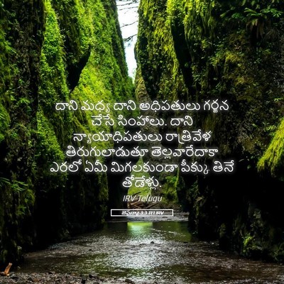 Picture 05 - జెఫన్యా 3:3 TELIRV - దాని మధ్య దాని - Bible Verse Picture