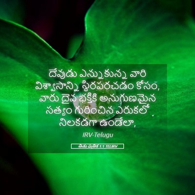 Picture 05 - తీతు పత్రిక 1:1 TELIRV - దేవుడు ఎన్నుకున్న - Bible Verse Picture