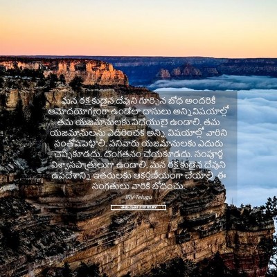 Picture 05 - తీతు పత్రిక 2:10 TELIRV - మన రక్షకుడైన - Bible Verse Picture