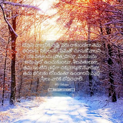 Picture 05 - తీతు పత్రిక 2:4 TELIRV - దేవుని వాక్యానికి - Bible Verse Picture