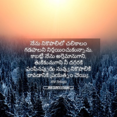 Picture 05 - తీతు పత్రిక 3:12 TELIRV - నేను నికొపొలిలో - Bible Verse Picture