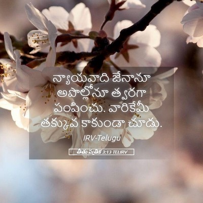 Picture 05 - తీతు పత్రిక 3:13 TELIRV - న్యాయవాది జేనానూ - Bible Verse Picture