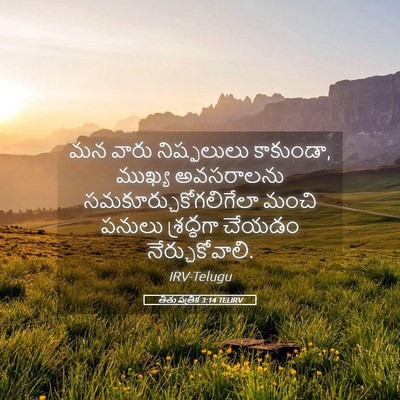 Picture 05 - తీతు పత్రిక 3:14 TELIRV - మన వారు నిష్ఫలులు - Bible Verse Picture