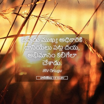 Picture 05 - దానియేలు 1:9 TELIRV - దేవుడు ముఖ్య - Bible Verse Picture