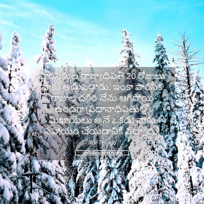 Picture 05 - దానియేలు 10:13 TELIRV - పారసీకుల - Bible Verse Picture