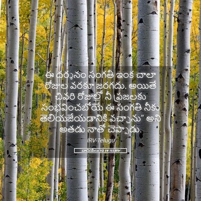 Picture 05 - దానియేలు 10:14 TELIRV - ఈ దర్శనం సంగతి ఇంక - Bible Verse Picture