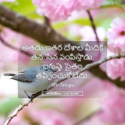 Picture 05 - దానియేలు 11:42 TELIRV - అతడు ఇతర దేశాల - Bible Verse Picture
