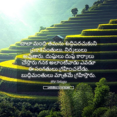 Picture 05 - దానియేలు 12:10 TELIRV - చాలా మంది తమను - Bible Verse Picture