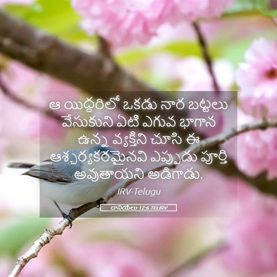 Picture 05 - దానియేలు 12:6 TELIRV - ఆ యిద్దరిలో ఒకడు - Bible Verse Picture