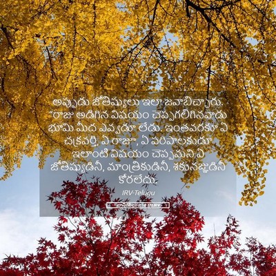 Picture 05 - దానియేలు 2:10 TELIRV - అప్పుడు - Bible Verse Picture