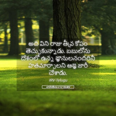 Picture 05 - దానియేలు 2:12 TELIRV - అది విని రాజు - Bible Verse Picture