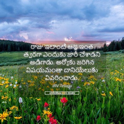 Picture 05 - దానియేలు 2:15 TELIRV - రాజు ఇలాంటి ఆజ్ఞ - Bible Verse Picture