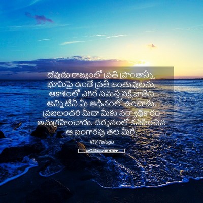 Picture 05 - దానియేలు 2:38 TELIRV - దేవుడు రాజ్యంలో - Bible Verse Picture