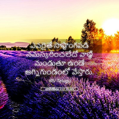 Picture 05 - దానియేలు 3:11 TELIRV - ఎవరైతే - Bible Verse Picture