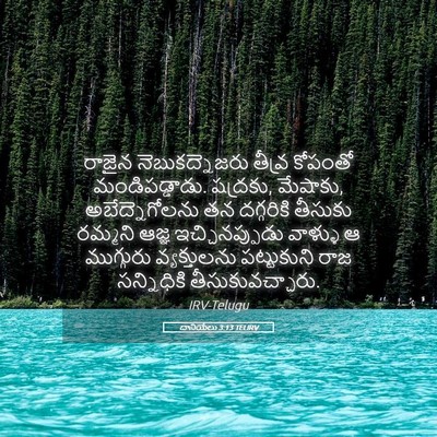 Picture 05 - దానియేలు 3:13 TELIRV - రాజైన - Bible Verse Picture