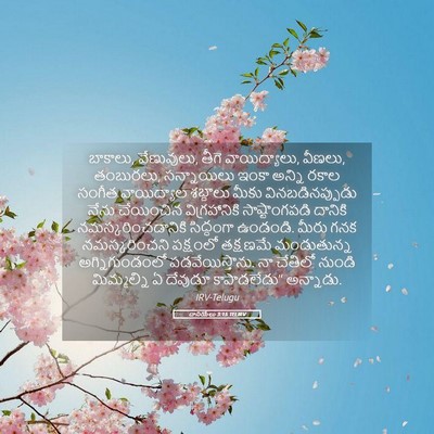 Picture 05 - దానియేలు 3:15 TELIRV - బాకాలు, వేణువులు, - Bible Verse Picture