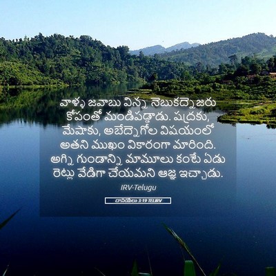 Picture 05 - దానియేలు 3:19 TELIRV - వాళ్ళ జవాబు విన్న - Bible Verse Picture