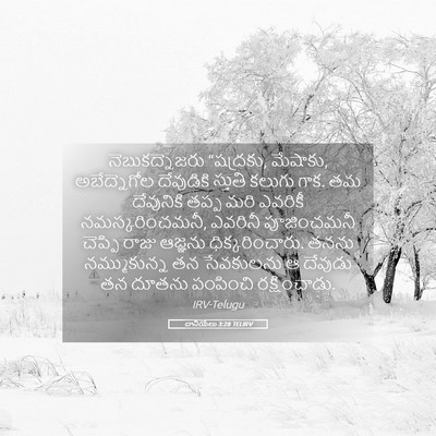 Picture 05 - దానియేలు 3:28 TELIRV - నెబుకద్నెజరు - Bible Verse Picture