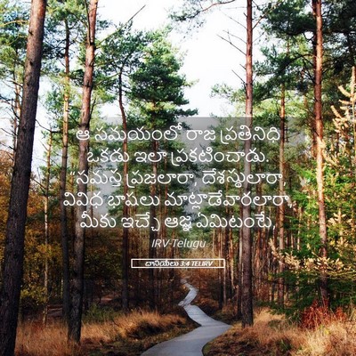 Picture 05 - దానియేలు 3:4 TELIRV - ఆ సమయంలో రాజ - Bible Verse Picture