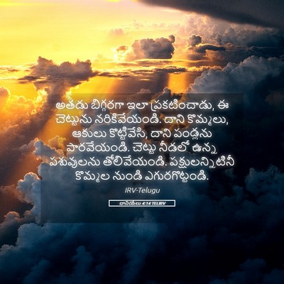 Picture 05 - దానియేలు 4:14 TELIRV - అతడు బిగ్గరగా ఇలా - Bible Verse Picture