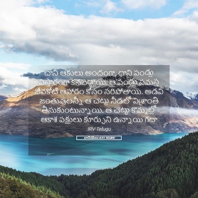 Picture 05 - దానియేలు 4:21 TELIRV - దాని ఆకులు అందంగా, - Bible Verse Picture