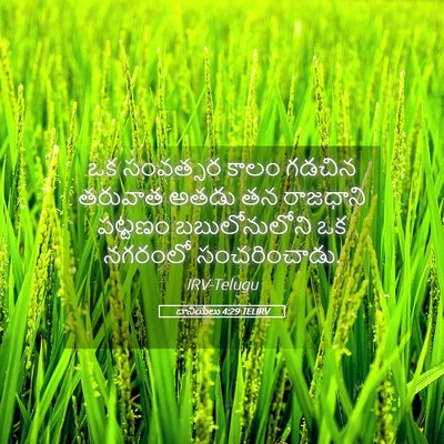 Picture 05 - దానియేలు 4:29 TELIRV - ఒక సంవత్సర కాలం - Bible Verse Picture