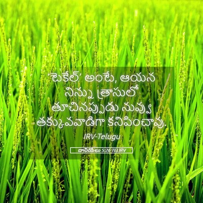 Picture 05 - దానియేలు 5:26 TELIRV - ‘టెకేల్‌’ అంటే, - Bible Verse Picture