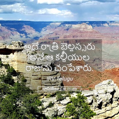 Picture 05 - దానియేలు 5:30 TELIRV - అదే రాత్రి - Bible Verse Picture