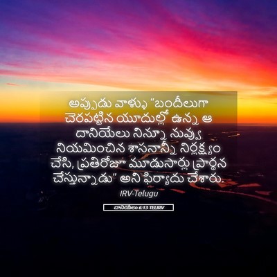 Picture 05 - దానియేలు 6:13 TELIRV - అప్పుడు వాళ్ళు - Bible Verse Picture