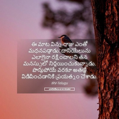 Picture 05 - దానియేలు 6:14 TELIRV - ఈ మాట విన్న రాజు - Bible Verse Picture