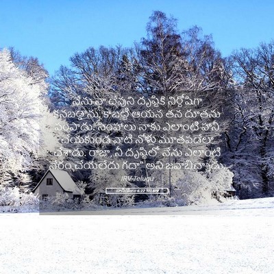 Picture 05 - దానియేలు 6:22 TELIRV - నేను నా దేవుని - Bible Verse Picture
