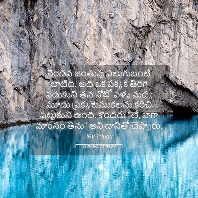 Picture 05 - దానియేలు 7:5 TELIRV - రెండవ జంతువు - Bible Verse Picture