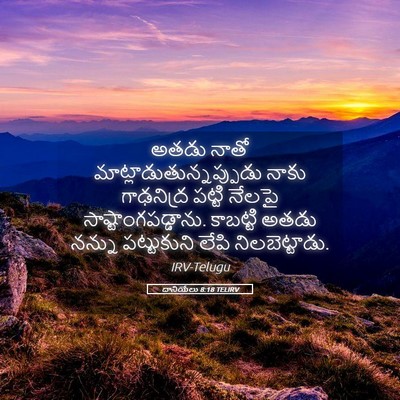 Picture 05 - దానియేలు 8:18 TELIRV - అతడు నాతో - Bible Verse Picture