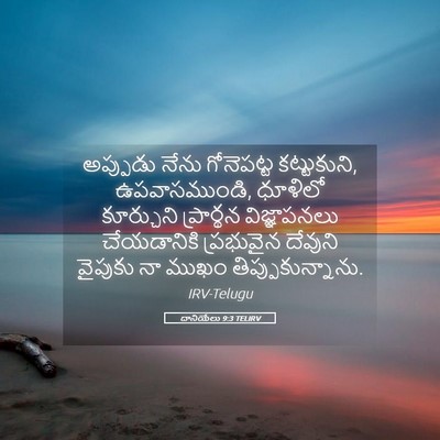Picture 05 - దానియేలు 9:3 TELIRV - అప్పుడు నేను - Bible Verse Picture