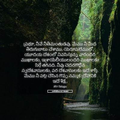 Picture 05 - దానియేలు 9:7 TELIRV - ప్రభూ, నీవే - Bible Verse Picture