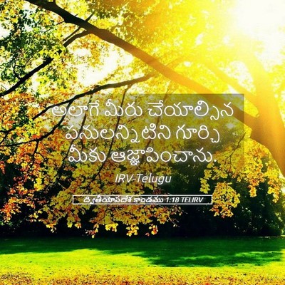 Picture 05 - ద్వితీయోపదేశ కాండము 1:18 TELIRV - అలాగే మీరు - Bible Verse Picture