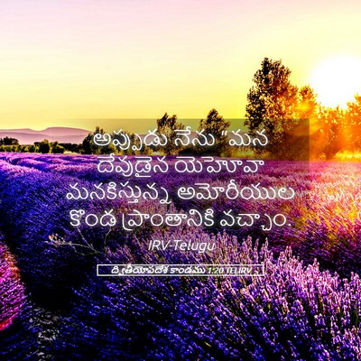 Picture 05 - ద్వితీయోపదేశ కాండము 1:20 TELIRV - అప్పుడు నేను “మన - Bible Verse Picture