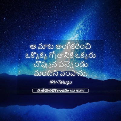 Picture 05 - ద్వితీయోపదేశ కాండము 1:23 TELIRV - ఆ మాట అంగీకరించి - Bible Verse Picture