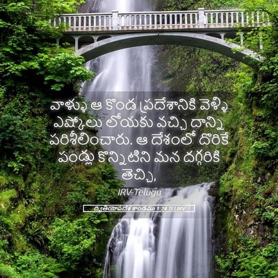 Picture 05 - ద్వితీయోపదేశ కాండము 1:24 TELIRV - వాళ్ళు ఆ కొండ - Bible Verse Picture