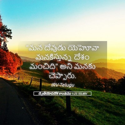 Picture 05 - ద్వితీయోపదేశ కాండము 1:25 TELIRV - “మన దేవుడు యెహోవా - Bible Verse Picture