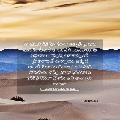 Picture 05 - ద్వితీయోపదేశ కాండము 1:28 TELIRV - మనమెక్కడికి - Bible Verse Picture