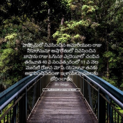 Picture 05 - ద్వితీయోపదేశ కాండము 1:3 TELIRV - హెష్బోనులో - Bible Verse Picture