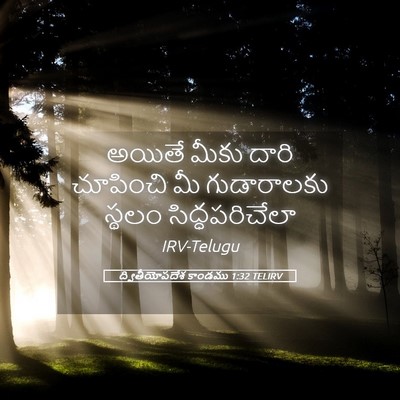 Picture 05 - ద్వితీయోపదేశ కాండము 1:32 TELIRV - అయితే మీకు దారి - Bible Verse Picture