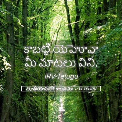 Picture 05 - ద్వితీయోపదేశ కాండము 1:34 TELIRV - కాబట్టి యెహోవా మీ - Bible Verse Picture
